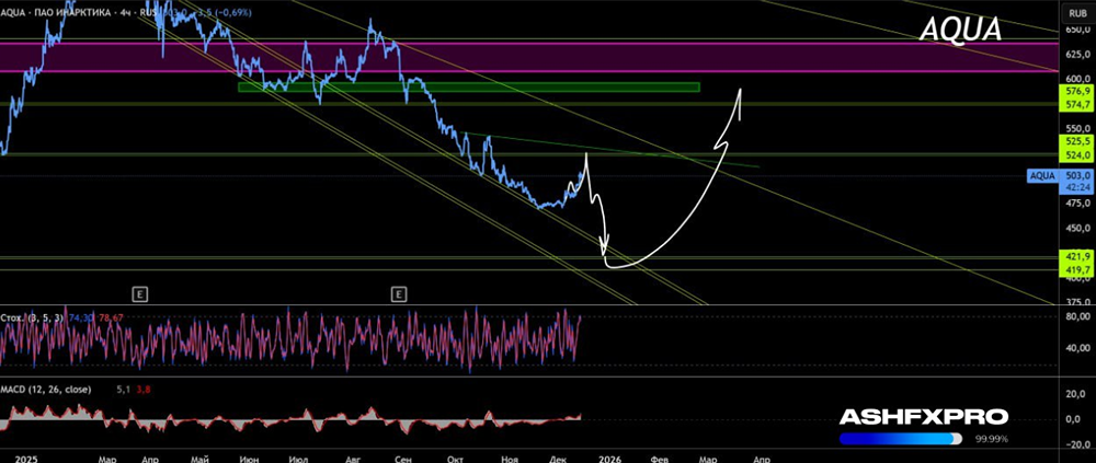 Когда начнут расти акции Инарктика?