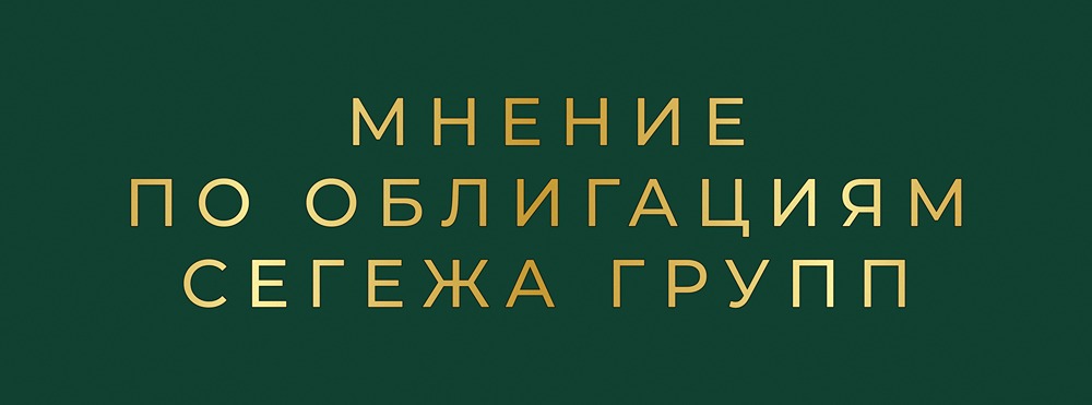 Комплексный анализ новых выпусков облигаций Сегежи: условия, риски и инвестиционный потенциал