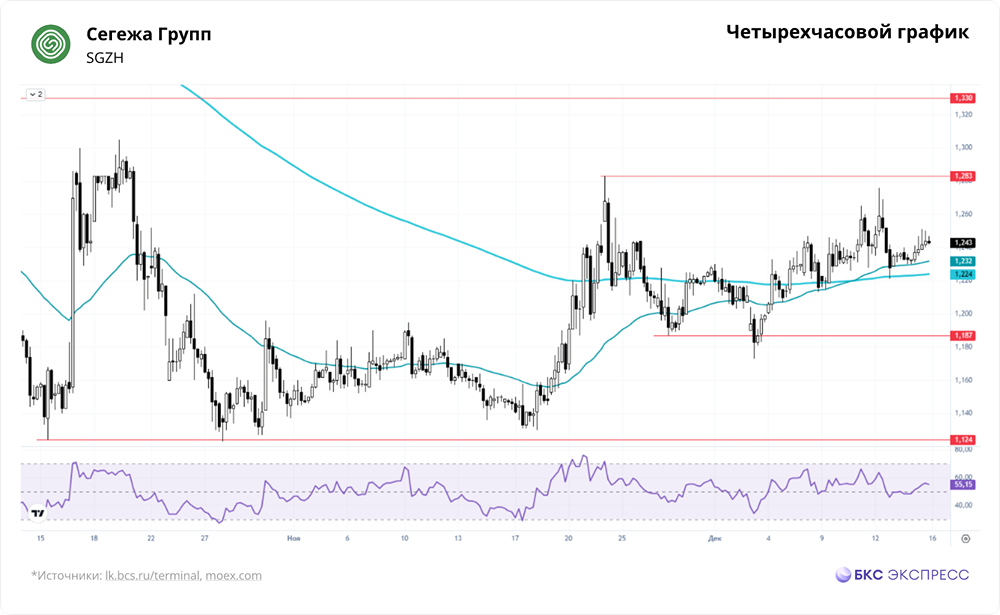 Что делать с акциями Сегежи Груп в 2025 году?