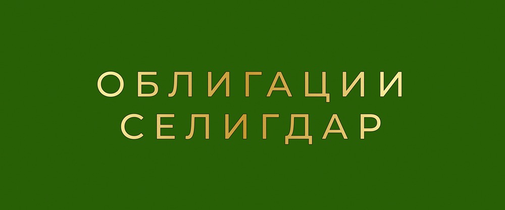 ВТБ Лизинг выпускает облигации с доходностью 16.5%: стоит ли инвестировать?