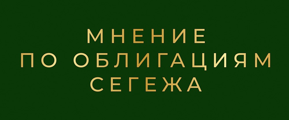 Стоит ли инвестировать в новые облигации Сегежа Групп при высоком долге?