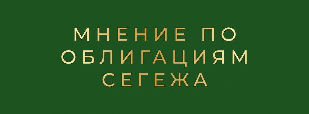 Анализ новых выпусков Сегежи: рублевые и юаневые облигации
