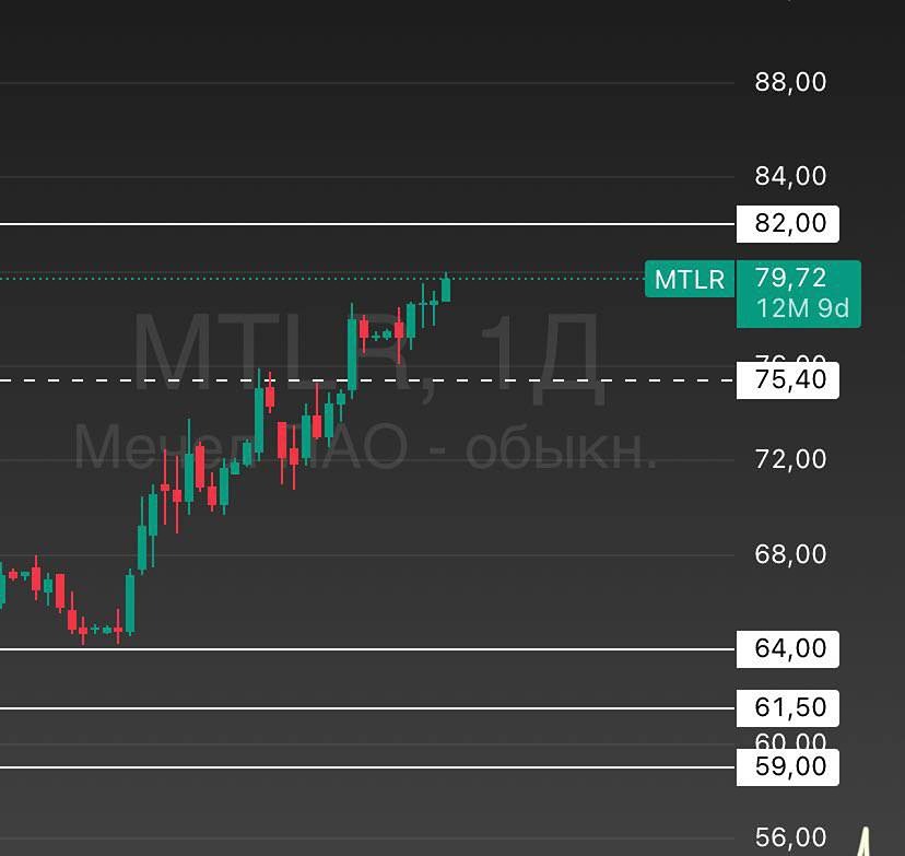 Стоит ли покупать акции Мечел при угрозе роста долга?