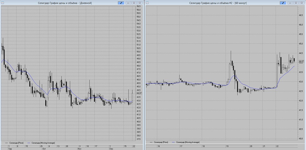 Акции Селигдар — готов ли рынок к активному росту?