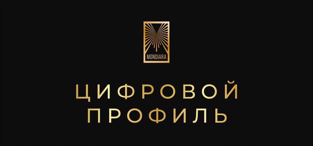 Почему Минцифры прекращает эксперимент с API для «Цифрового профиля»?