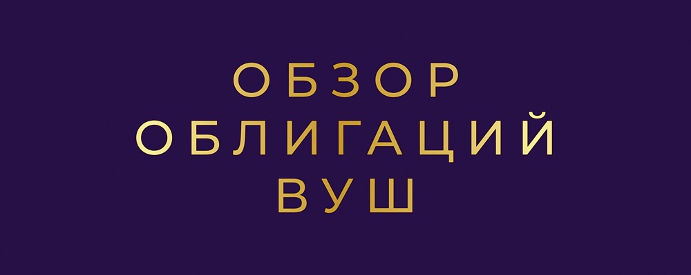 Вуш Холдинг на долговом рынке: анализ трех выпусков облигаций