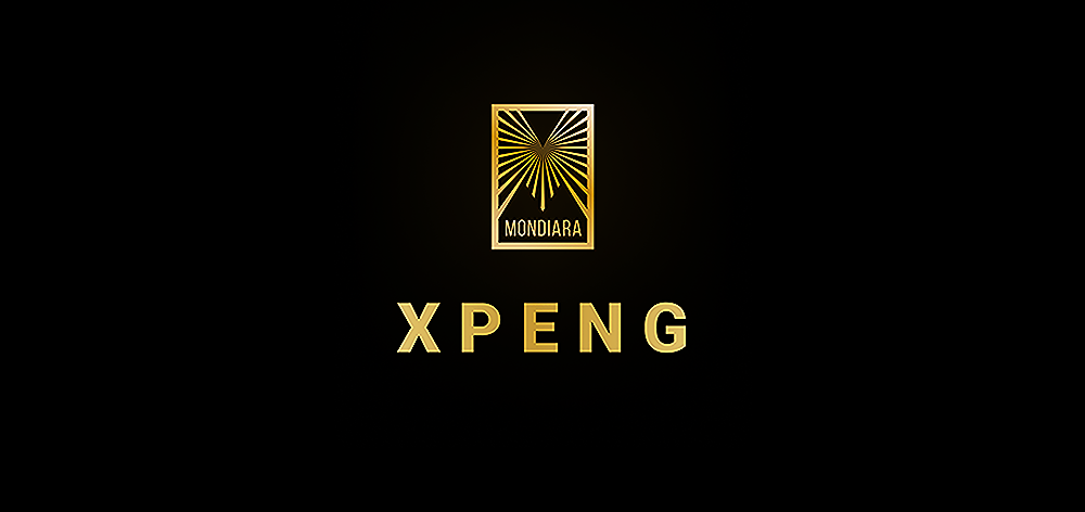 XPENG на пути к глобализации: +96 % поставок в 2025 году, команды по цепочкам поставок в Европе и АСЕАН, внедрение ИИ и летающих автомобилей. Что ждёт компанию в ближайшие 10 лет?