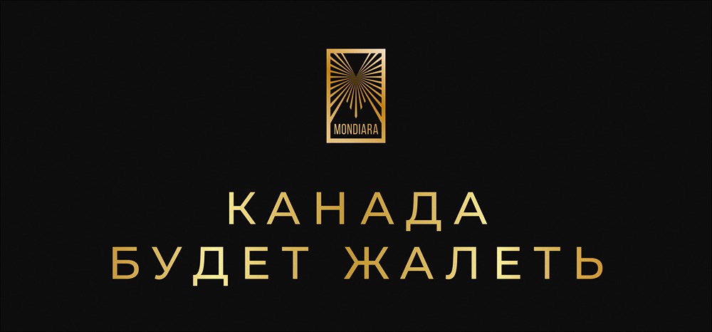 Торговая война в Северной Америке: кто проиграет от китайских электромобилей?