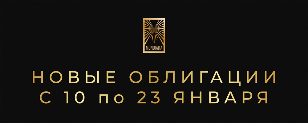 Обзор новых размещений облигаций: какие выпуски стоит рассмотреть?
