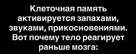 Как твоё тело хранит память без участия мозга: научное открытие о клеточной памяти