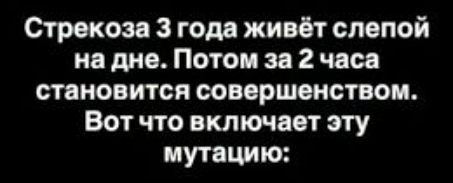 Как понять что ты готов к переменам: 5 признаков того, что твоя жизнь меняется навсегда?