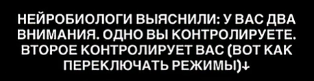 Как вернуть контроль над вниманием: 5 научных техник против цифровой зависимости?