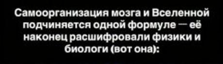 Единый закон Вселенной: от мозга до галактик