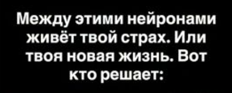 Что происходит в мозге, когда ты меняешь привычки: революционные открытия