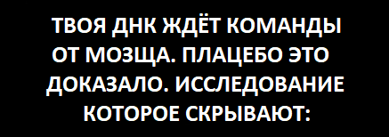 Сила убеждения: как мозг лечит тело без лекарств