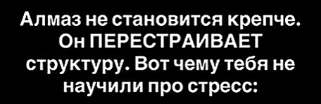 Почему давление не ломает, а перестраивает: наука о настоящей силе
