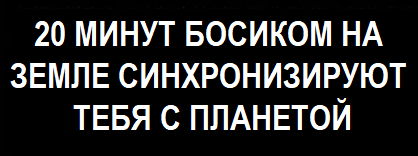 Почему ходьба босиком лечит: научное открытие о заземлении организма