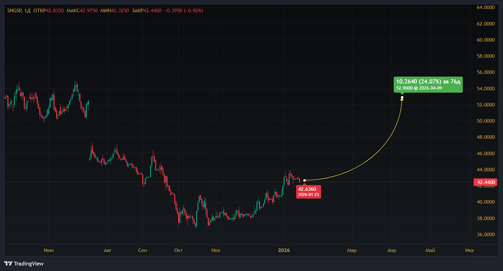 За счет каких факторов могут вырасти привилегированные акции Сургутнефтегаза?