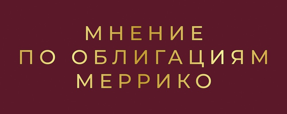 Анализ рисков облигаций МИРРИКО: стоит ли брать ВДО?
