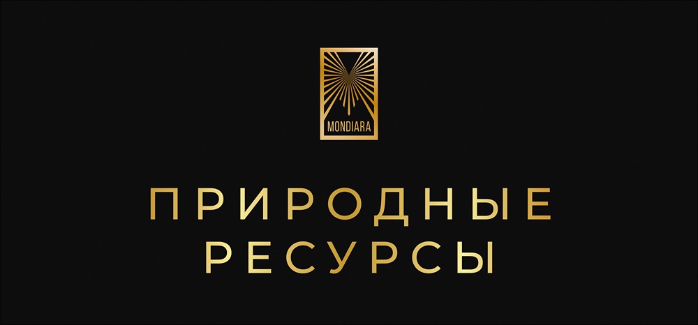 Стратегия инвестирования в природные ресурсы: комплексный подход