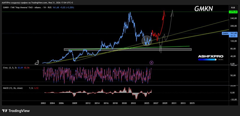 Как поведут себя цены на акции Норникель в долгосрочной перспективе?