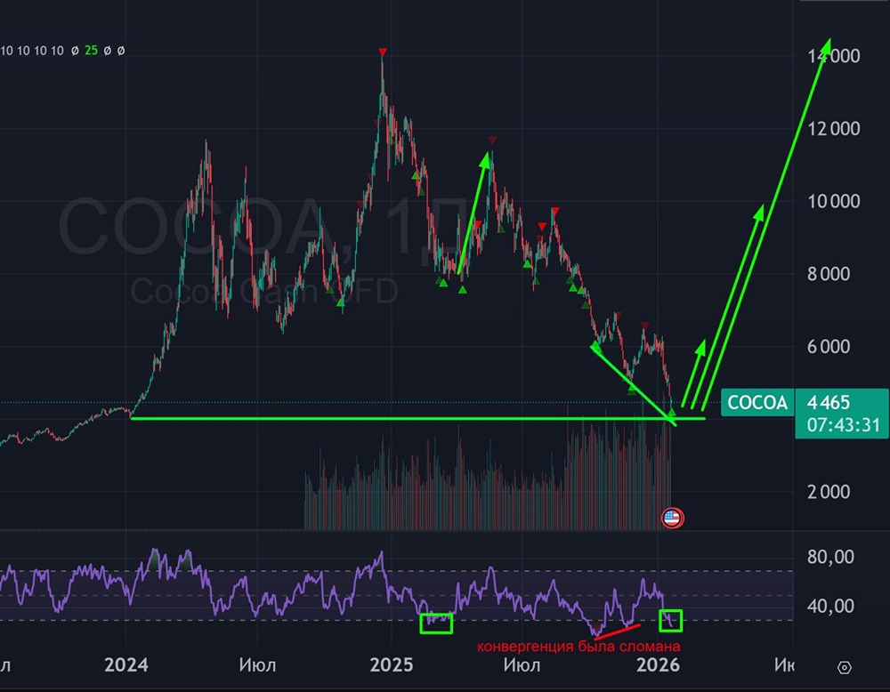 Почему котировки цен на какао могут показать сильный рост в 2026 году?