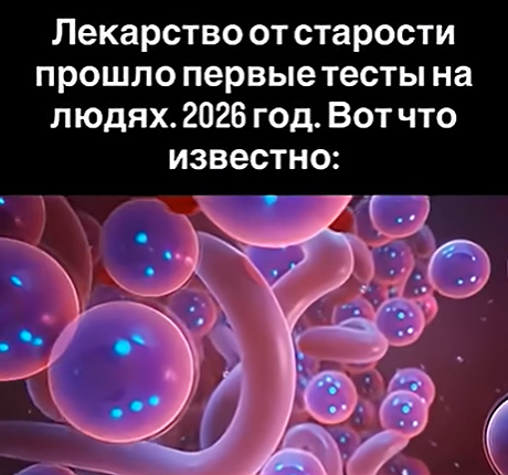 Препараты против старения: что происходит в лабораториях прямо сейчас
