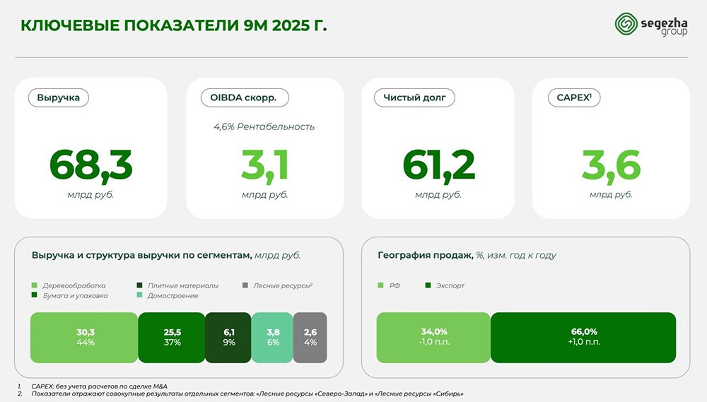 Спасут ли Сегежу новые меры поддержки в 2026 году? Анализ финансового состояния