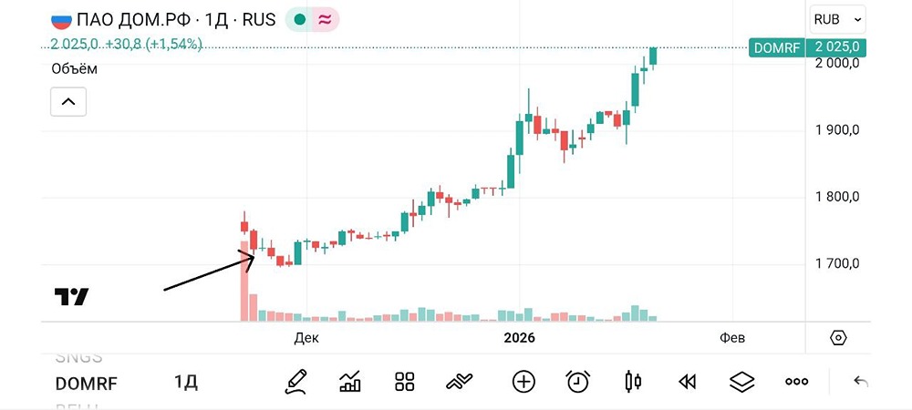 Почему эксперты считают ДОМ.РФ перспективной инвестицией?