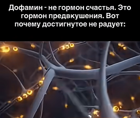 Почему мы никогда не довольны: наука о дофаминовой ловушке