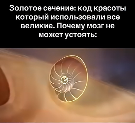 Золотое сечение (число 1.618): универсальный код, заложенный во всём сущем