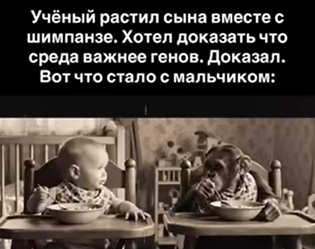 Когда ребёнок рос с обезьяной: трагическая история эксперимента над природой человека