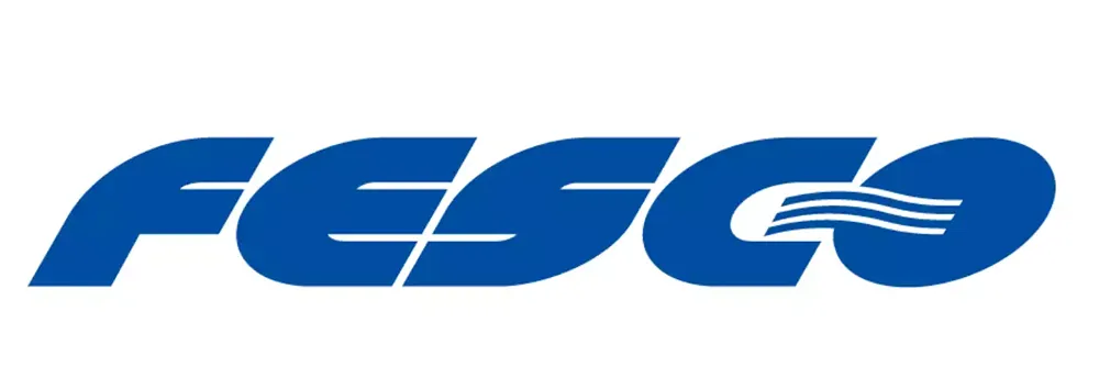 FESCO оценивает свою долю на рынке контейнерных перевозок с Индией почти в 20%