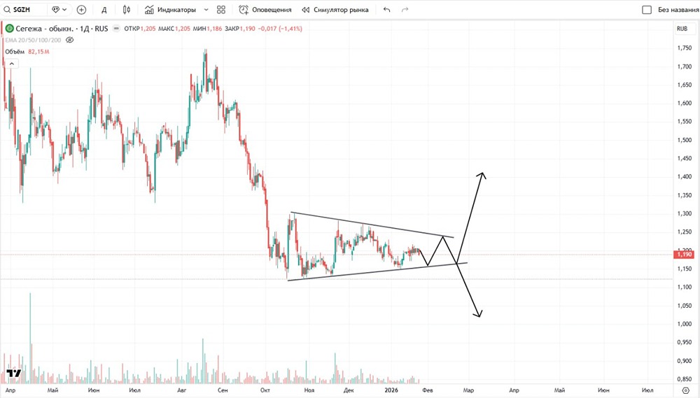 Какие варианты допустимы в акциях «Сегежа» с учётом техники?