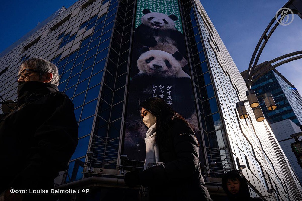 Дипломатический скандал: Китай забирает всех панд из японских зоопарков