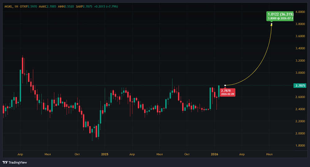МГКЛ: выручка выросла в 3,7 раза — стоит ли покупать акции по 2,73 руб.?