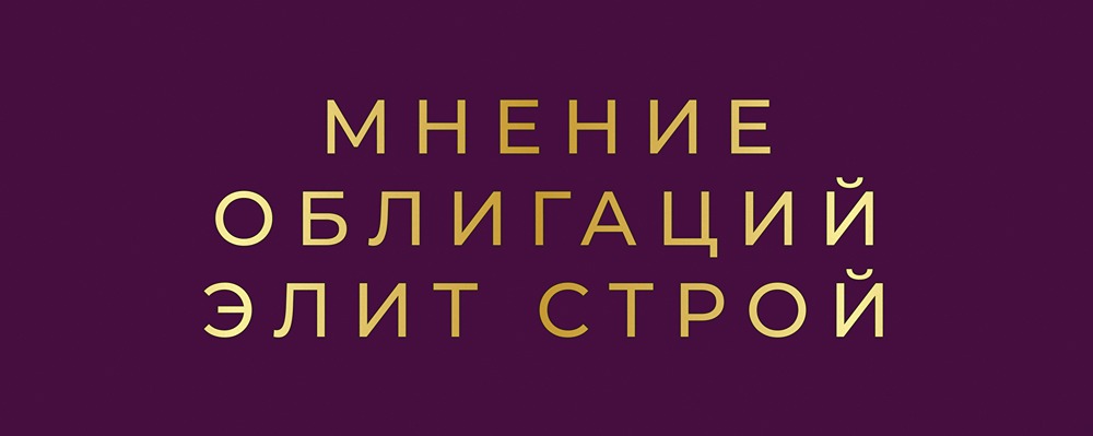 Купон 25,5% от «Элит Строй»: стоит ли инвестировать в облигации застройщика?