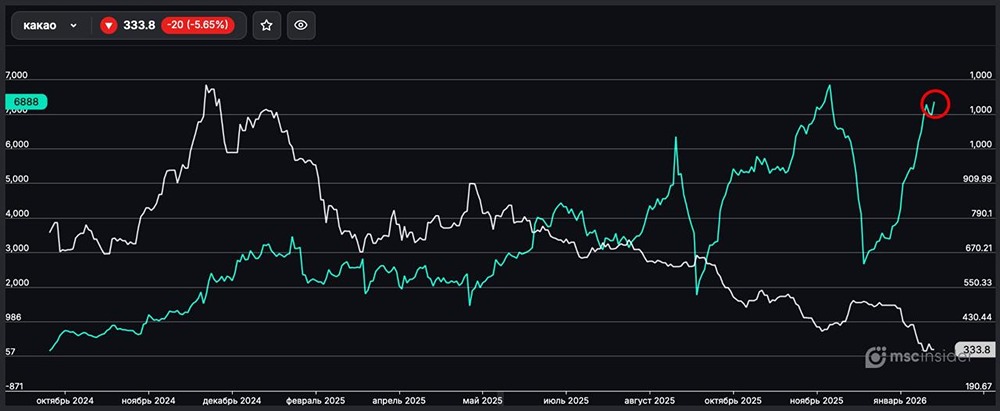 Какао: количество физлиц-участников активно растёт