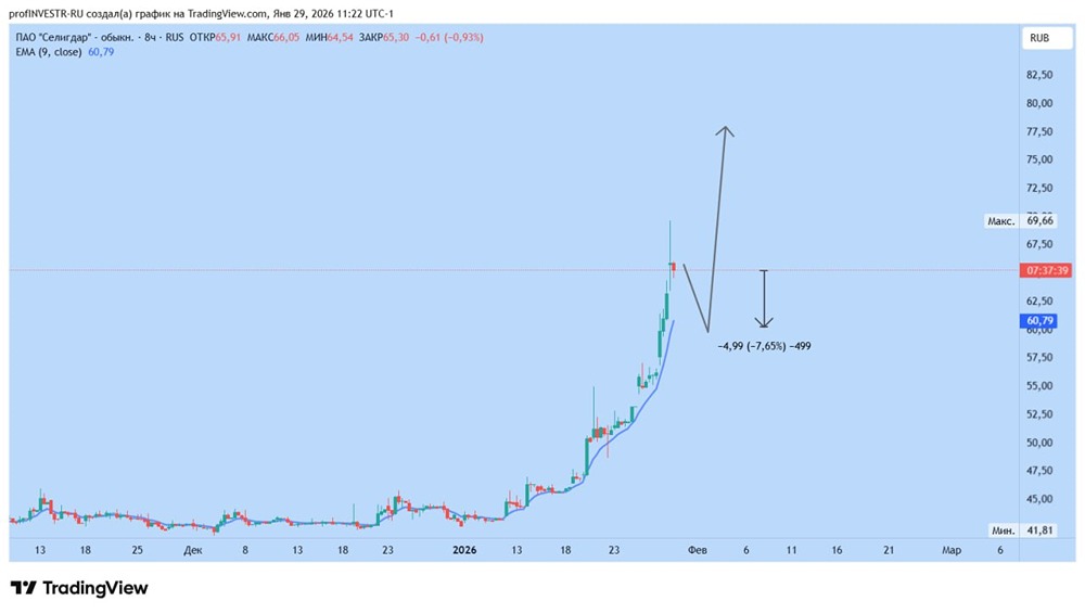 Стоит ли ждать коррекции в акциях «Селигдара» и продолжится ли рост после?