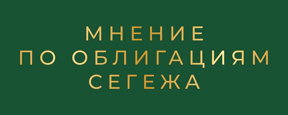 Как оценить риски новых облигаций Сегежи?