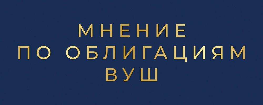 ВДО Whoosh 22%: кому подойдут эти высокодоходные облигации?