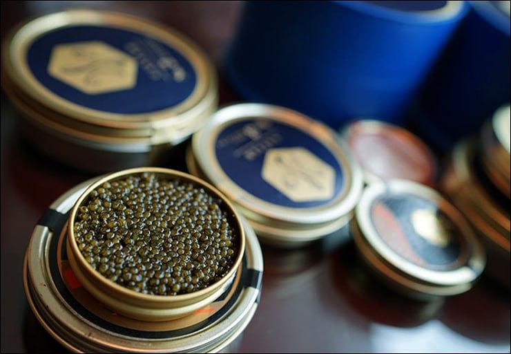 Китайская чёрная икра захватила российский рынок: как ГМО‑корма и дешёвые ингредиенты снижают её стоимость?