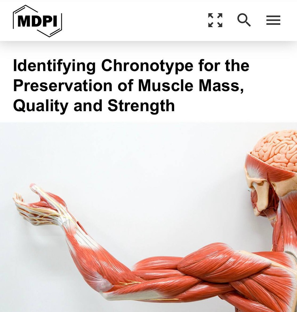 Как поздний отход ко сну приводит к деградации мышц?