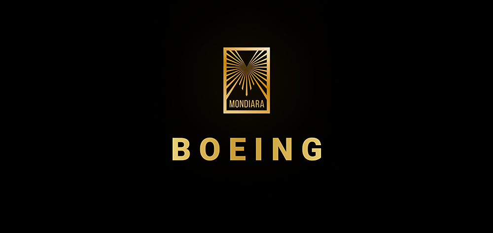 Почему Air India приостановила эксплуатацию Boeing 787 Dreamliner?