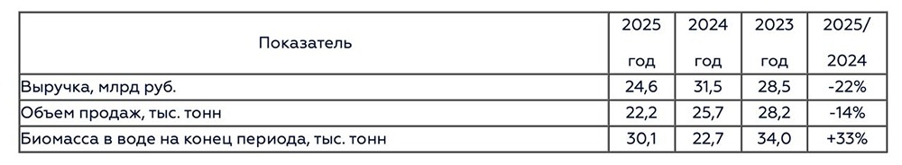 Инарктика предоставила операционные показатели за 2025 год