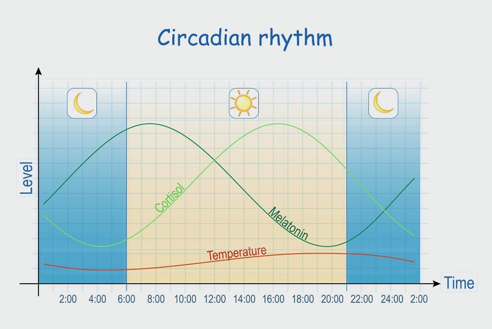 У мужчин существуют «месячные» — учёные. Они связаны с уровнем тестостерона и называются «irritable male syndrome»