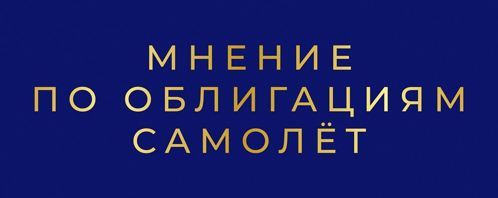 ГК «Самолёт»: паника или возможность? Разбираем кейс с господдержкой.