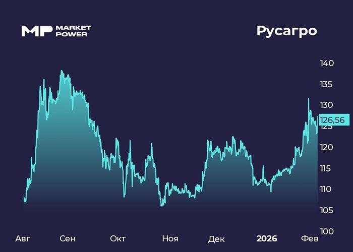 Акции Русагро: как финансовые результаты влияют на будущее компании?