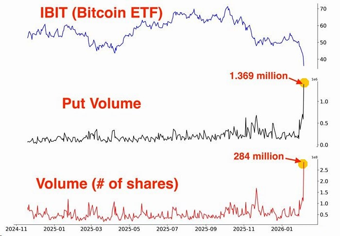 В BTC ETF за последние 12 часов наблюдается гигантский всплеск торгового объема, а также рекордный рост объема торгов в путах