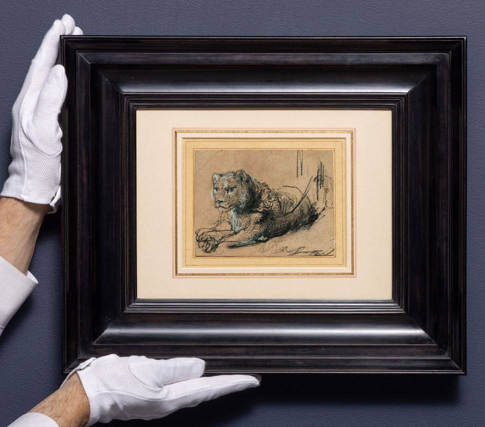Рисунок Рембрандта «Молодой лев в покое» был продан за $17,9 млн на аукционе Sotheby's в Нью-Йорке